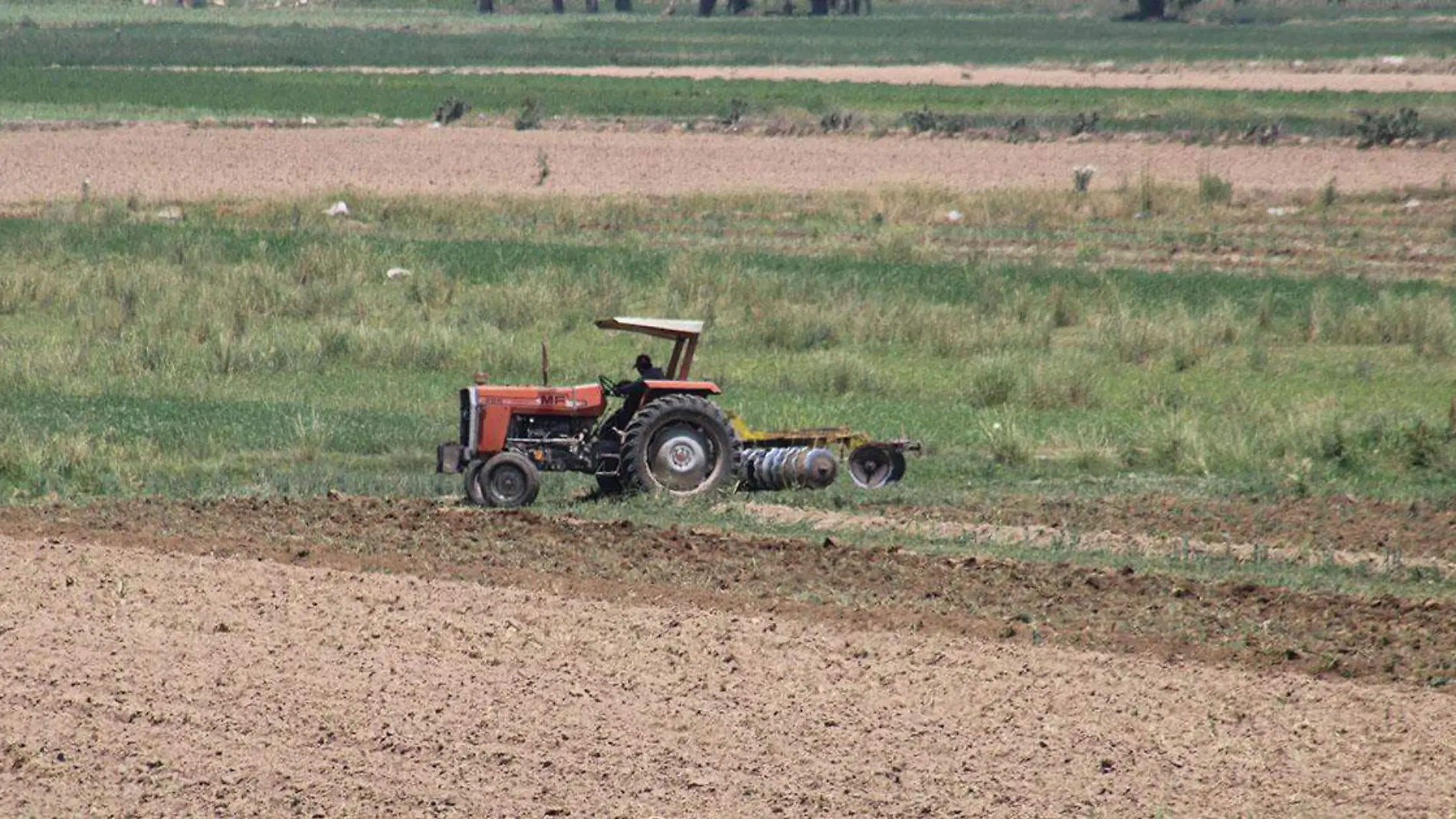 Productores de la industria agropecuaria en Puebla